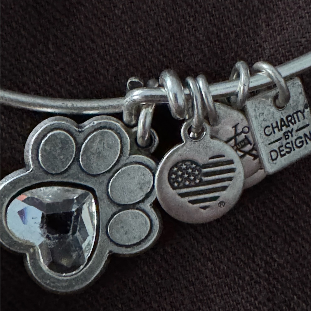 Alex and Ani Silver Charm Bracelet PAW PRINT